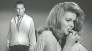 Kitten With A Whip fotoğrafı