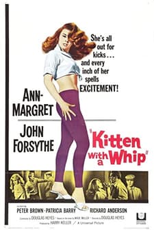 Kitten With A Whip (1964) afişi