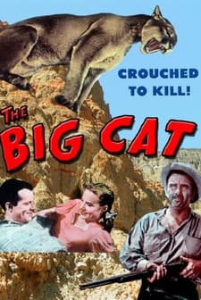 The Big Cat (1949) afişi