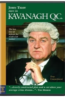 Kavanagh Qc (1995) afişi