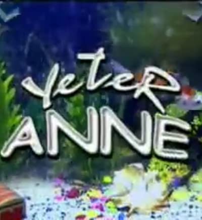 Yeter Anne (2002) afişi