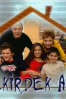 Çekirdek Aile (2002) afişi