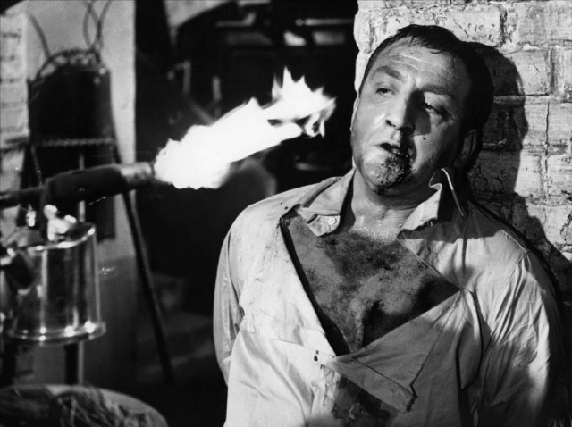 The Gorilla Greets You fotoğrafı