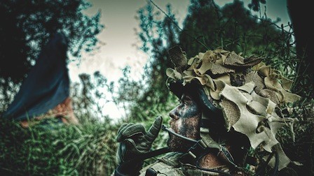 Armadillo fotoğrafı