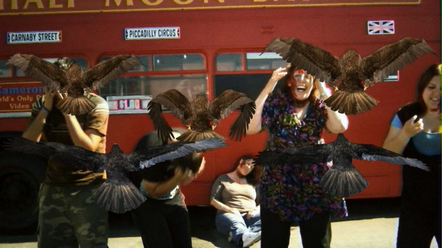 Birdemic 2 fotoğrafı