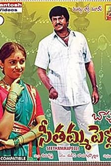 Seethamma Pelli (1984) afişi