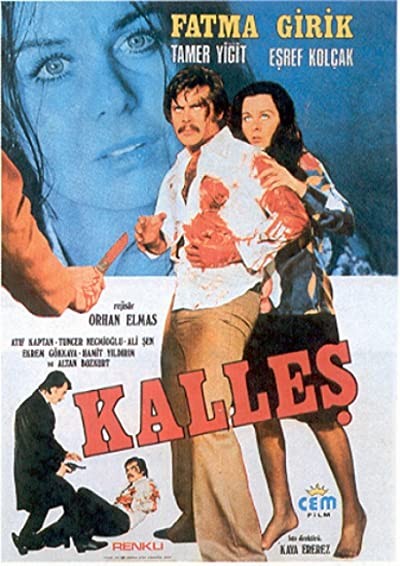 Kalleş (1974) afişi