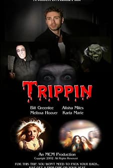 Trippin' (2003) afişi