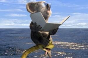 Vahşi Doğa Fotoğrafı