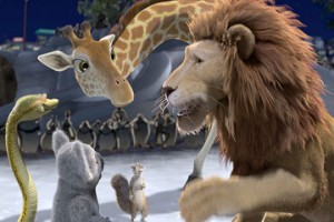 Vahşi Doğa Fotoğrafı