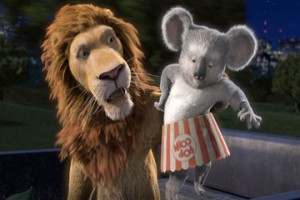 Vahşi Doğa Fotoğrafı