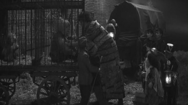 Fil Adam Fotoğrafı