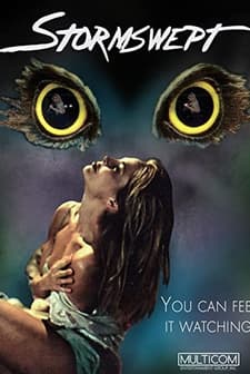 Stormswept (1995) afişi