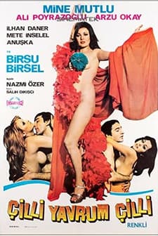 Çilli Yavrum çilli (1975) afişi