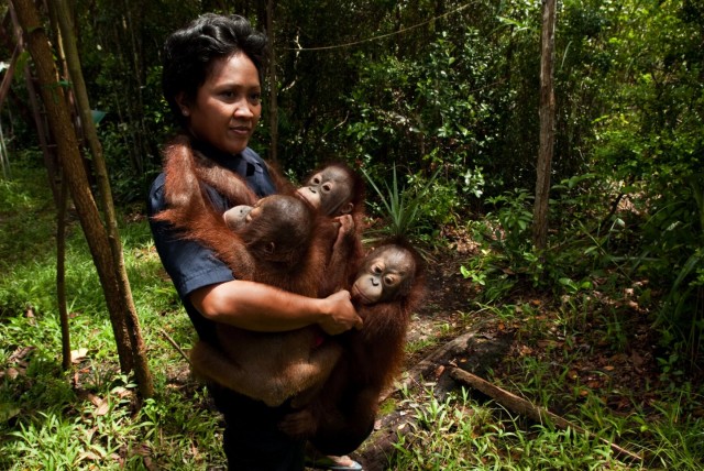 Born To Be Wild Fotoğrafı