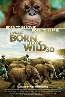 Born To Be Wild (2011) afişi