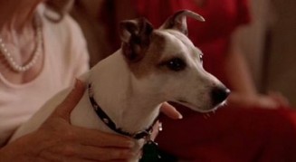 Hoş Kaza Fotoğrafı