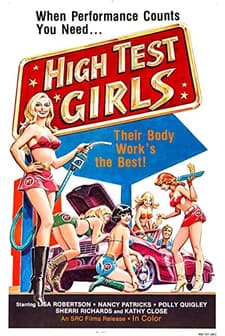 Sechs Schwedinnen Von Der Tankstelle (1980) afişi