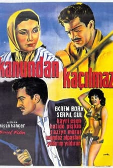 Kanundan Kaçılmaz (1959) afişi