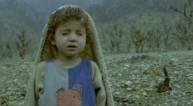 Kaplumbağalar da Uçar Fotoğrafı