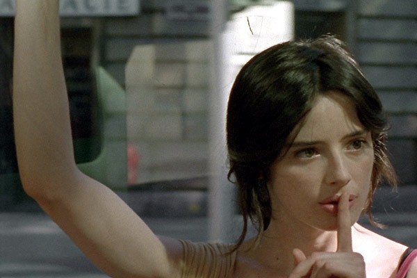 Kaplumbağalar da Uçar fotoğrafı