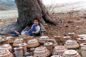 Kaplumbağalar da Uçar Fotoğrafı