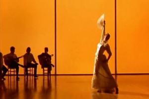 Flamenco Fotoğrafı