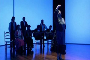 Flamenco fotoğrafı