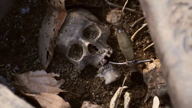 Mandrake Fotoğrafı