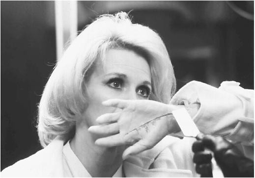 Papavero E Anche Un Fiore fotoğrafı