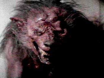 Komşum Bir Vampir 2 fotoğrafı