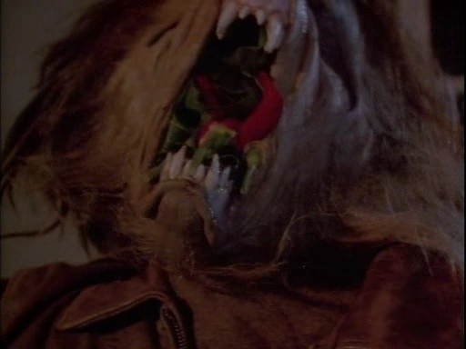 Komşum Bir Vampir 2 Fotoğrafı