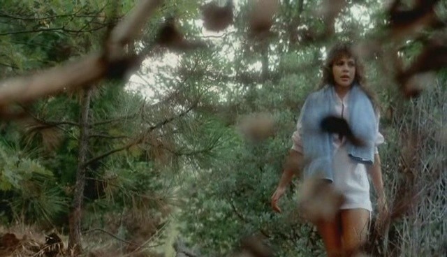 Cheerleader Camp fotoğrafı