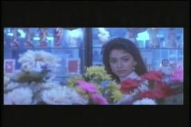 Naajayaz fotoğrafı