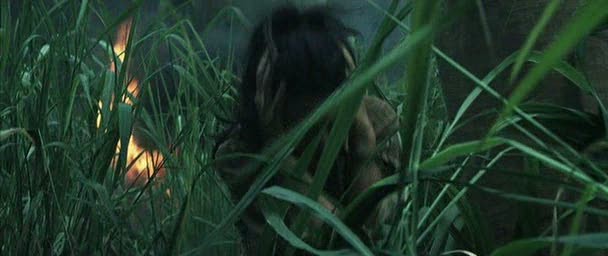 Güneşin Gözyaşları Fotoğrafı