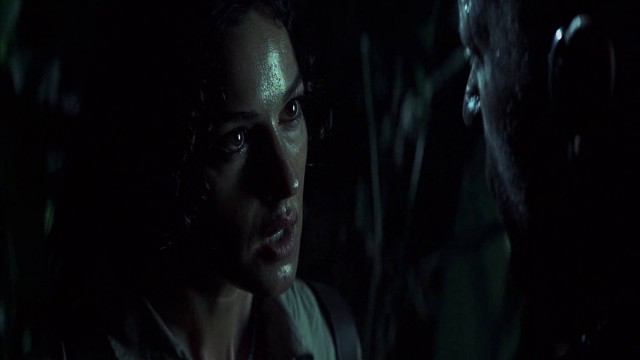 Güneşin Gözyaşları Fotoğrafı