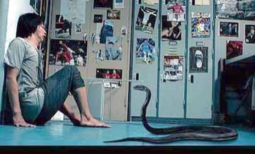 Kral Kobranın Intikamı fotoğrafı