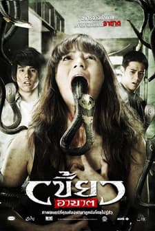 Kral Kobranın Intikamı (2010) afişi