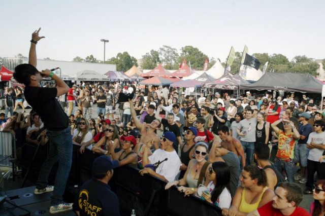 Flying Butterfly Fotoğrafı