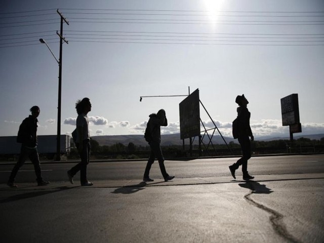 Flying Butterfly fotoğrafı