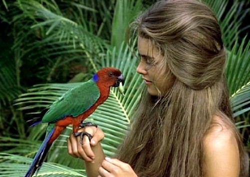 Mavi Göl fotoğrafı