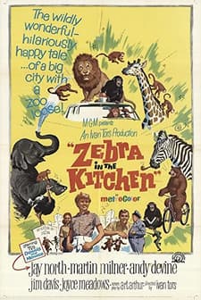 Zebra In The Kitchen (1965) afişi