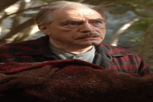 Kırmızı fotoğrafı