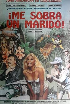 Me Sobra Un Marido (1987) afişi