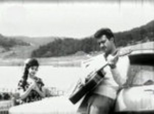 Kırmızı Karanfiller fotoğrafı