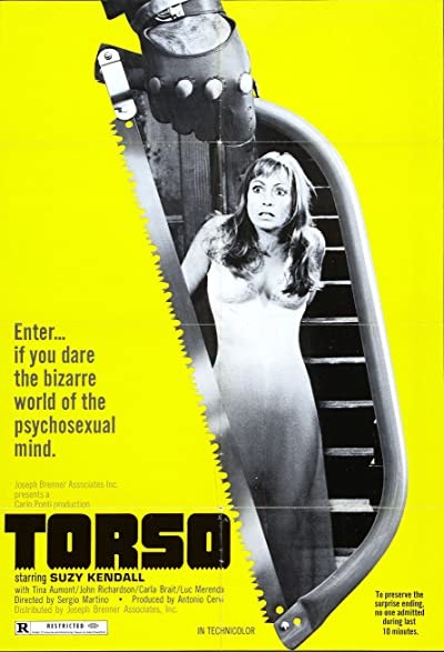Torso (1973) afişi