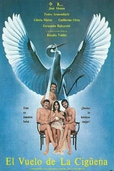 El Vuelo De La Cigüeña (1979) afişi