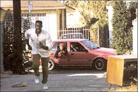 Gül Ağacı fotoğrafı