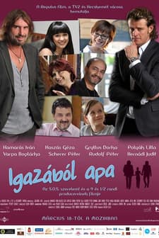 Igazából Apa (2010) afişi