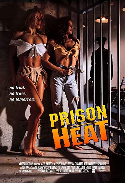 Prison Heat (1993) afişi